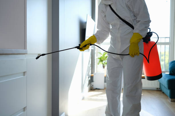 Best Emergency Mold Remediation in Winnie, TX
