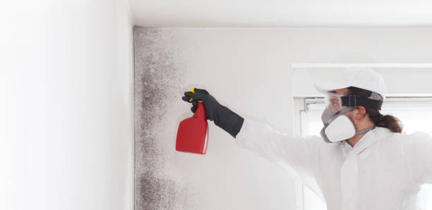 Best Mold Remediation for Specific Building Types in Winnie, TX