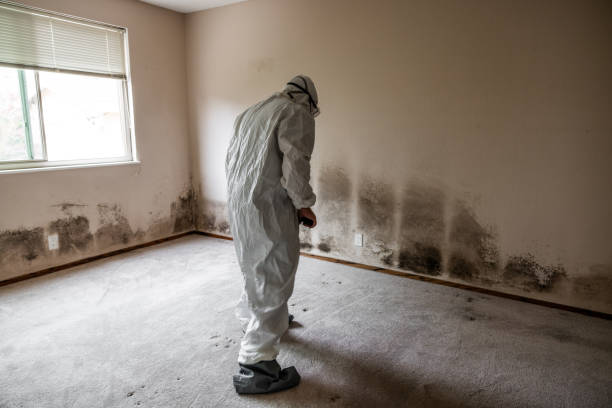 Best Bathroom Mold Remediation in Winnie, TX